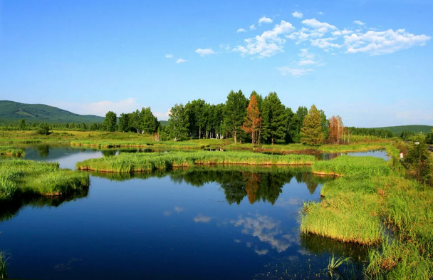 上等陰離子聚丙烯酰胺HPAM廠家濕生植物對富營養化水體修復研究