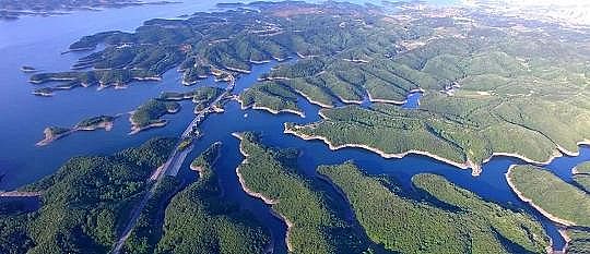 上等非離子聚丙烯酰胺NPAM廠家披著環(huán)保公司“外衣”,非法傾倒污泥4萬余噸!污泥問題如何解題?