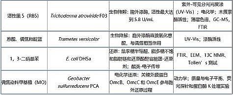 纖維束填料1米廠家有機污染物胞外作用機理及微生物群體感應調控特征