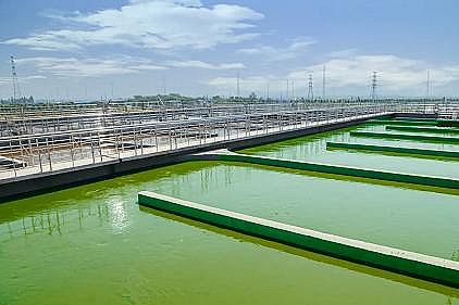 高品質阻垢劑生產廠家工業廢水調試,生化出水氨氮比總氮高?一篇文章總結到位