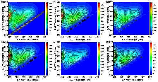 ���|̼Դ�S�����������ٟ��S�B�rҺ����������Ó��Ч�ܼ�΢����C���о�