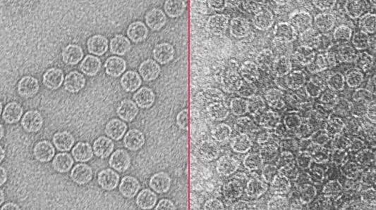 上等生物流化床填料MBBR生產廠家把病毒殺死在“搖籃”里:新技術在水凈化之前就可防止病原體傳播