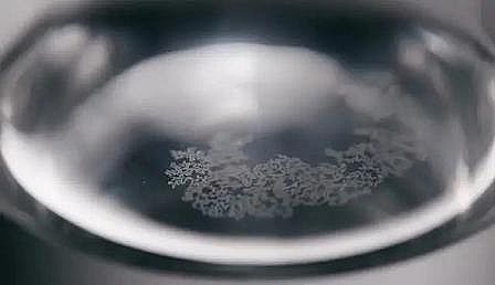 �ϺÞV�Ϻ��d�F���a(ch��n)�S�Ұ�ɫƯ���������