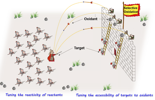 �ϺýY(ji��)���Ȼ��X���a(ch��n)�S��̽ӑ�x��������ˮ̎�����g(sh��)��ԭ�������Լ�����(zh��n)