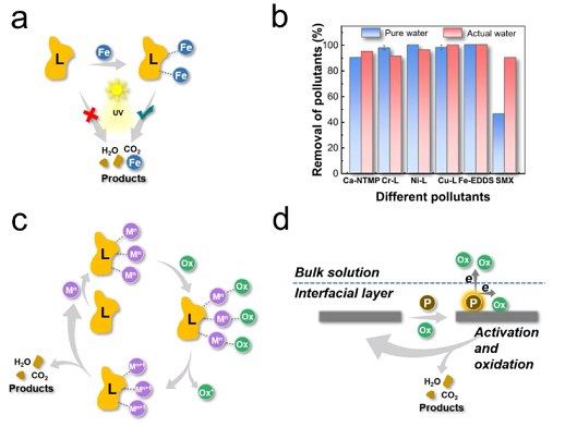 �ϺýY(ji��)���Ȼ��X���a(ch��n)�S��̽ӑ�x��������ˮ̎�����g(sh��)��ԭ�������Լ�����(zh��n)