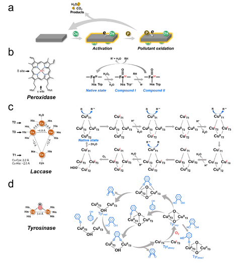 �ϺýY(ji��)���Ȼ��X���a(ch��n)�S��̽ӑ�x��������ˮ̎�����g(sh��)��ԭ�������Լ�����(zh��n)