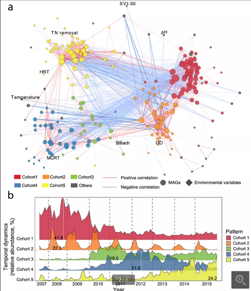 上等堿式氯化鋁生產(chǎn)廠家香港污水廠9年跟蹤發(fā)現(xiàn):萬變的菌,不變的出水
