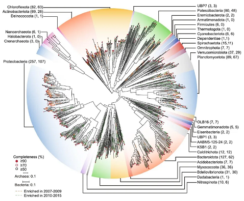 上等堿式氯化鋁生產(chǎn)廠家香港污水廠9年跟蹤發(fā)現(xiàn):萬變的菌,不變的出水