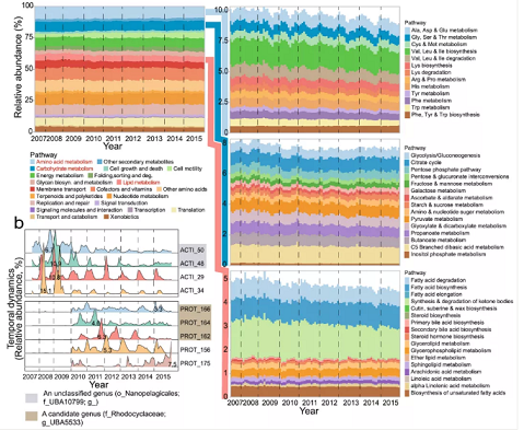 上等堿式氯化鋁生產(chǎn)廠家香港污水廠9年跟蹤發(fā)現(xiàn):萬變的菌,不變的出水