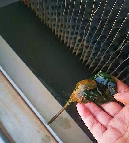 高品質(zhì)消毒劑氯片廠家數(shù)據(jù)中心循環(huán)水系統(tǒng)低負(fù)荷運(yùn)行及停機(jī)操作要點(diǎn)