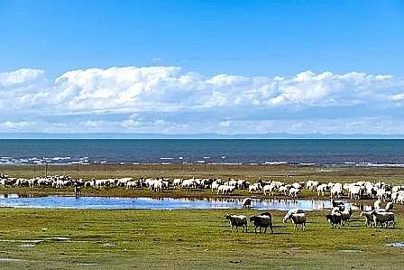 上好纖維球濾料廠家財政部下達2022年水污染防治資金預算,透露出什么信號?