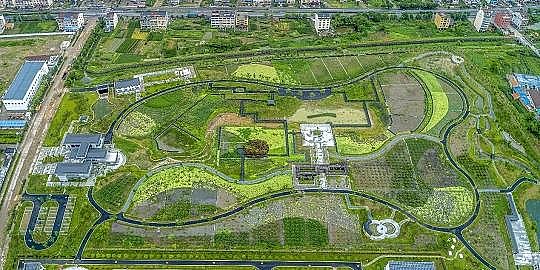 ���������ɽ�r�V�����a(ch��n)�S�Ҹ���Ⱦ���I(y��)�Uˮ��������ˮ̎��+��ع��@+����l(f��)�!�@����ˮ�S�@���҃�(y��u)�|(zh��)���̪�