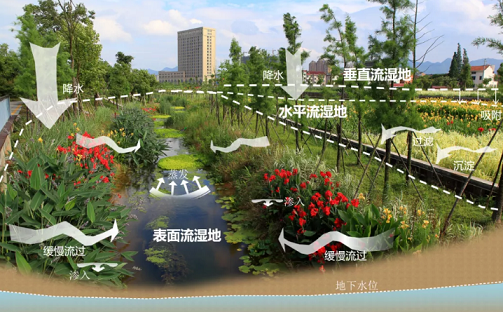 ���������ɽ�r�V�����a(ch��n)�S�Ҹ���Ⱦ���I(y��)�Uˮ��������ˮ̎��+��ع��@+����l(f��)�!�@����ˮ�S�@���҃�(y��u)�|(zh��)���̪�