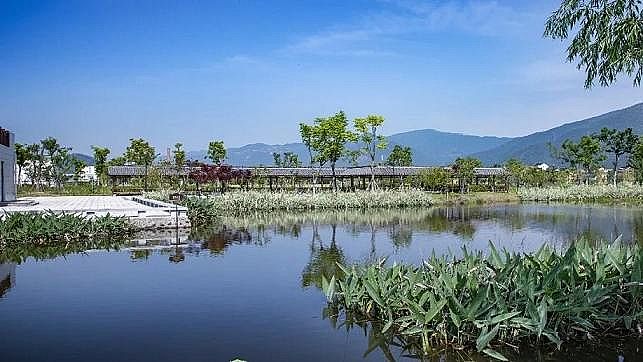 ���������ɽ�r�V�����a(ch��n)�S�Ҹ���Ⱦ���I(y��)�Uˮ��������ˮ̎��+��ع��@+����l(f��)�!�@����ˮ�S�@���҃�(y��u)�|(zh��)���̪�