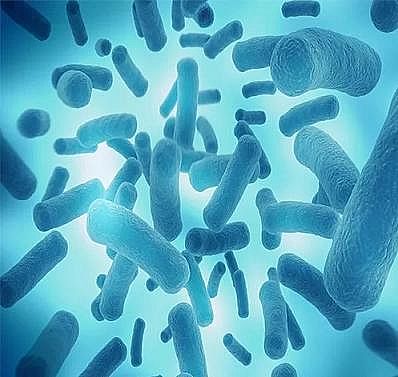 �Ϻ����w�W�����ϏS�ҿ��� | �P�ڳ���ˮ�㲻֪������Щ��...