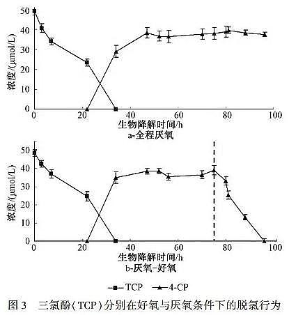精良立體彈性填料生產廠家難降解工業廢水的高效處理技術與理論研究