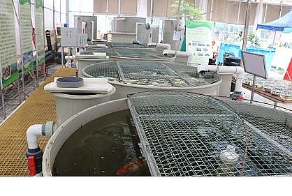 上等冷卻塔填料廠家工廠化循環(huán)水養(yǎng)殖裝備技術(shù)