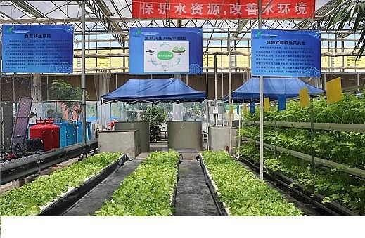 上等冷卻塔填料廠家工廠化循環(huán)水養(yǎng)殖裝備技術(shù)