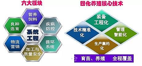 上等冷卻塔填料廠家工廠化循環(huán)水養(yǎng)殖裝備技術(shù)