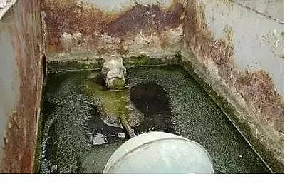 精美纖維球濾料生產廠家何為“二次供水”?