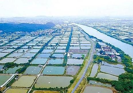 全新鵝卵石濾料廠家養(yǎng)殖尾水治理將有大動(dòng)作!各地排放標(biāo)準(zhǔn)實(shí)行“地域定制”