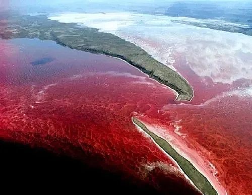 全新鵝卵石濾料廠家養(yǎng)殖尾水治理將有大動(dòng)作!各地排放標(biāo)準(zhǔn)實(shí)行“地域定制”