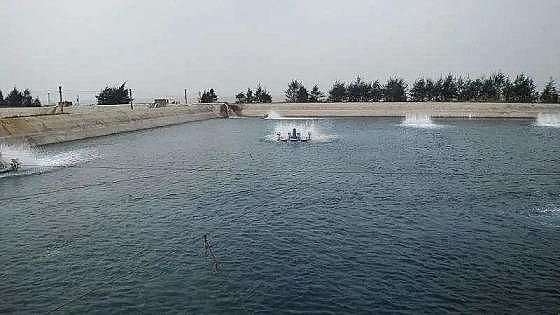 全新鵝卵石濾料廠家養(yǎng)殖尾水治理將有大動(dòng)作!各地排放標(biāo)準(zhǔn)實(shí)行“地域定制”