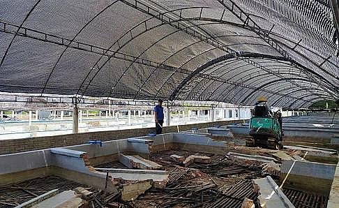 全新鵝卵石濾料廠家養(yǎng)殖尾水治理將有大動(dòng)作!各地排放標(biāo)準(zhǔn)實(shí)行“地域定制”