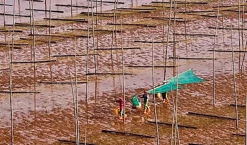 全新鵝卵石濾料廠家養(yǎng)殖尾水治理將有大動(dòng)作!各地排放標(biāo)準(zhǔn)實(shí)行“地域定制”