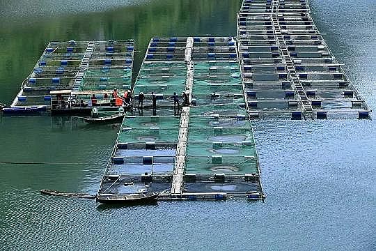 全新鵝卵石濾料廠家養(yǎng)殖尾水治理將有大動(dòng)作!各地排放標(biāo)準(zhǔn)實(shí)行“地域定制”