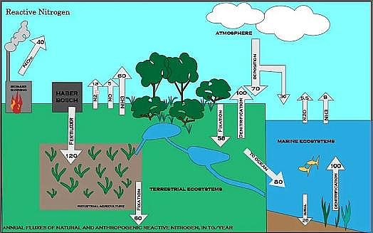 �����������ɽ�r�V�����a�S���@�N���w����Ч���Ƕ�����̼��300�����sһֱ������