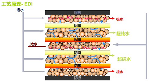 2022�������X���a(ch��n)�S��EDIˮ�|׃��ăɂ�ԭ�򼰸��ƴ�ʩ