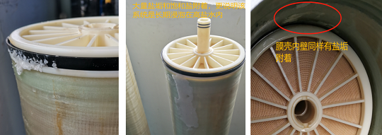 2022�ꇊ�F����ۺ������FSPFS���a(ch��n)�S�Ҽ{�V�ճ��S�oע�����