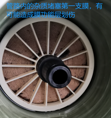 2022�ꇊ�F����ۺ������FSPFS���a(ch��n)�S�Ҽ{�V�ճ��S�oע�����