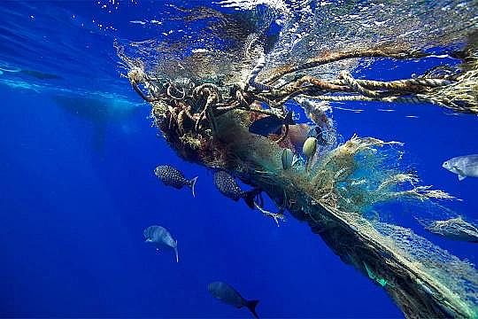 2022��Һ�渲�w��S���@�������������������׌���_����!