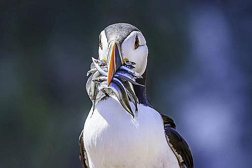 2022��Һ�渲�w��S���@�������������������׌���_����!