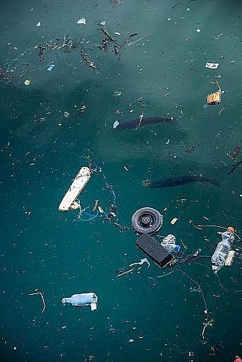 2022��Һ�渲�w��S���@�������������������׌���_����!