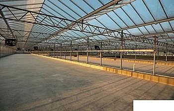 2022年顆粒活性炭廠家全球最大污水廠投入運行,處理規模560萬m³/d,面積相當于90個足球場