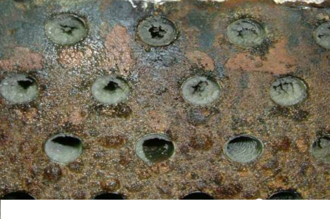 2022���X�F�ۺ��Ȼ��X�FPAFC�S�ҹ��Iѭ�hˮ�������}����Q���������㹝ˮ����!