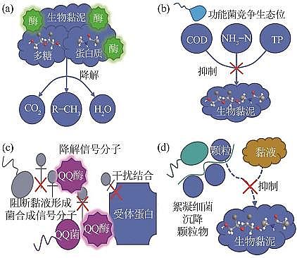 2022年阻垢劑循環(huán)冷卻水微生物調(diào)節(jié)水質(zhì)機理研究進展
