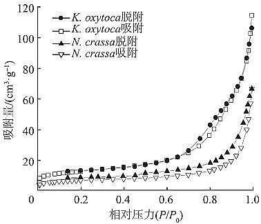 高品質(zhì)粉末粉狀活性炭生產(chǎn)廠家生物礦化法制備納米氧化鐵及其對亞甲基藍(lán)的吸附