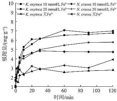 高品質(zhì)粉末粉狀活性炭生產(chǎn)廠家生物礦化法制備納米氧化鐵及其對亞甲基藍(lán)的吸附