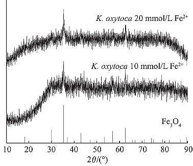 高品質(zhì)粉末粉狀活性炭生產(chǎn)廠家生物礦化法制備納米氧化鐵及其對亞甲基藍(lán)的吸附