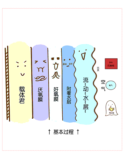 2022年阻垢劑價(jià)格國(guó)內(nèi)六大主流污水處理工藝!附詳細(xì)介紹!