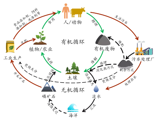 2022�ꃞ(y��u)�|(zh��)ˮ̎���������a(ch��n)�S�ҏ���ˮ�л�����