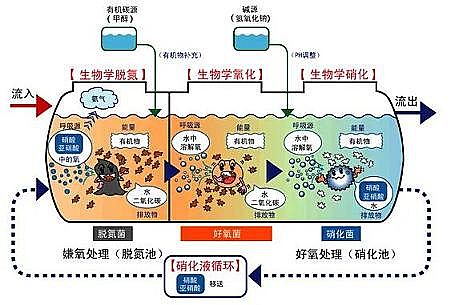 �ۺ������FSPFS���ׄ��S(ch��ng)��Ͷ���ķNˎ������,׌�����һ��(g��)������Ó������ϵ�y(t��ng)